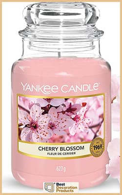 Best Cherry Blossom Scented Yankee Candle