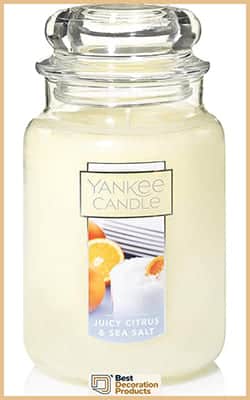 Best Juicy Citrus & Sea Salt Scented Yankee Candle