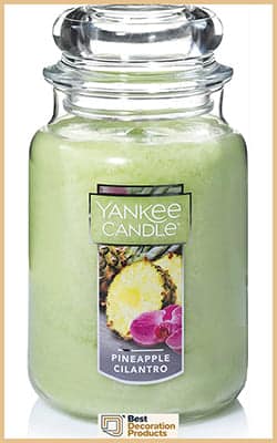 Best Pineapple Cilantro Smelling Yankee Candle
