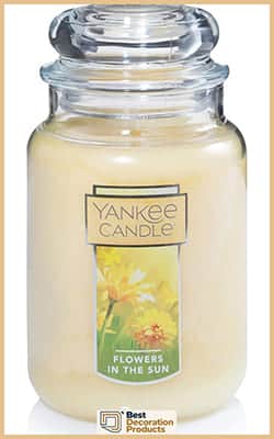 Best Sun Flower Smelling Yankee Candle