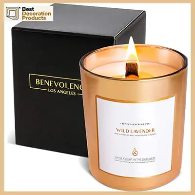 Best Wild Lavender Wood Wick Candle